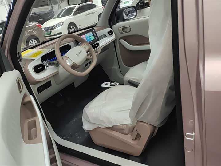 Фото 9 - Geely Galaxy Panda Mini