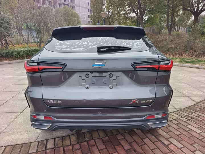 Фото 8 - Changan Oshan X5