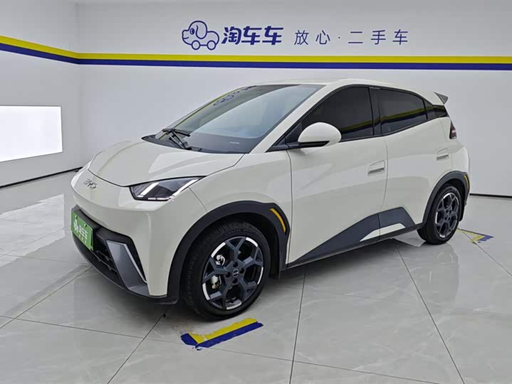 Фото 1 - BYD Seagull