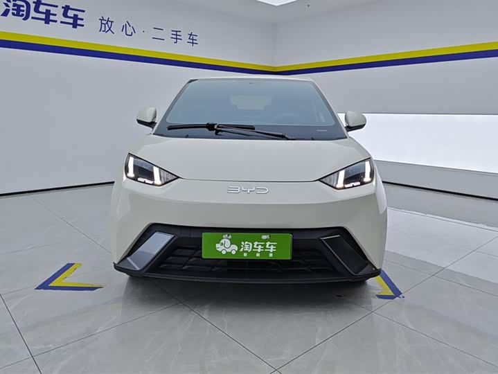 Фото 2 - BYD Seagull