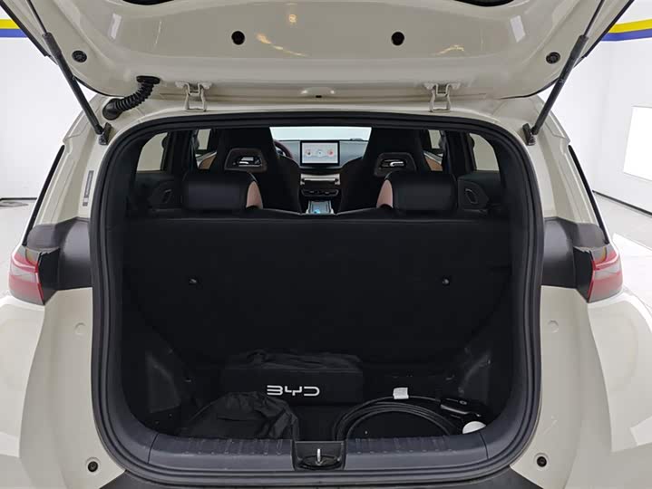 Фото 4 - BYD Seagull