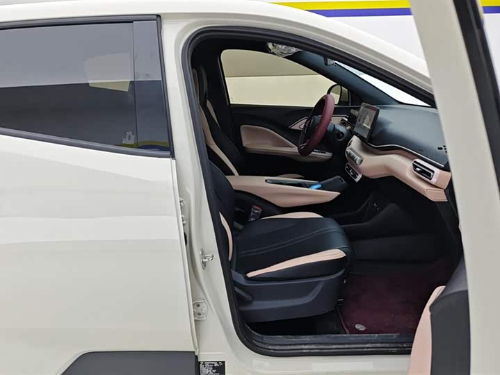 Фото 8 - BYD Seagull