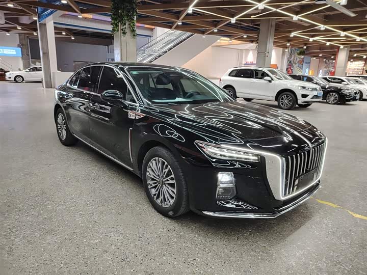 Фото 3 - Hongqi H5