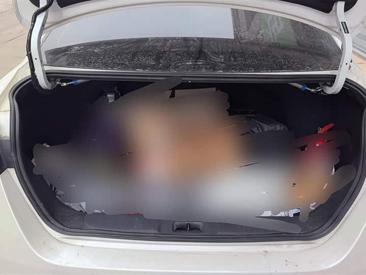 Фото 4 - Nissan Sylphy