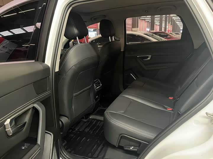 Фото 9 - BYD Song Pro