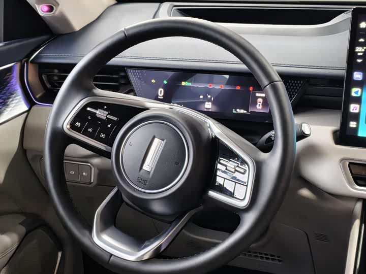 Фото 8 - Wey Mocca Hybrid