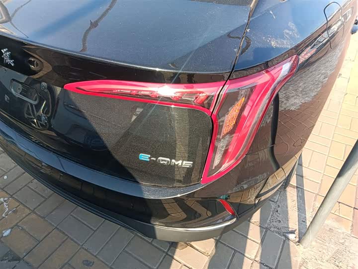 Фото 8 - Hongqi E-QM5