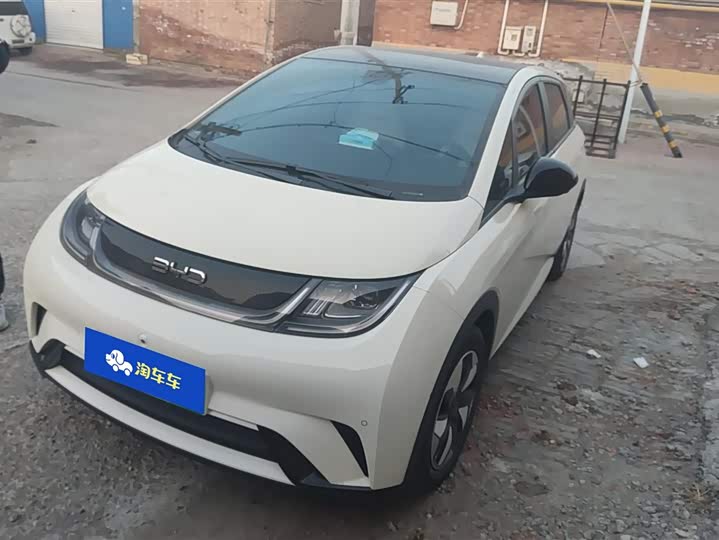 Фото 1 - BYD Dolphin