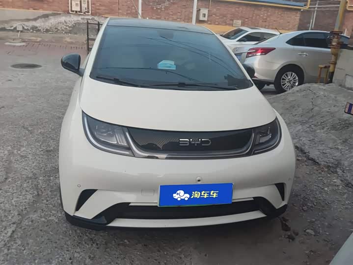 Фото 2 - BYD Dolphin