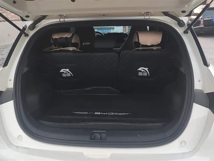 Фото 3 - BYD Dolphin