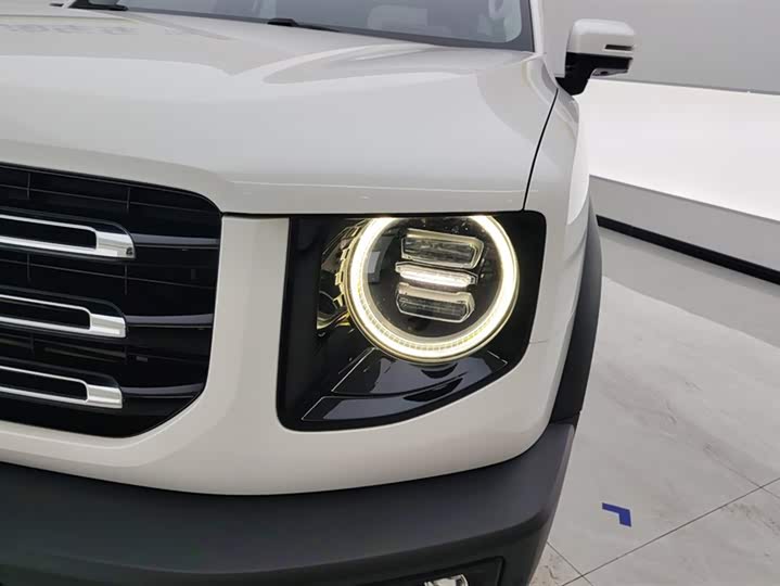 Фото 5 - Haval Dargo