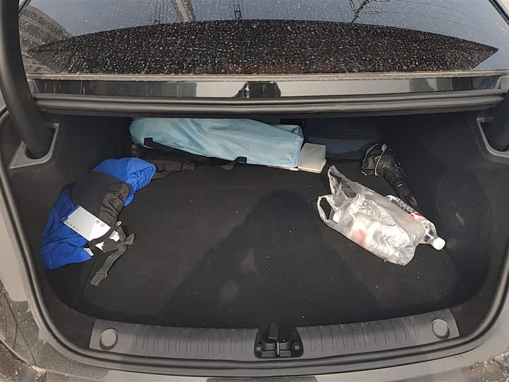 Фото 4 - BYD Han L