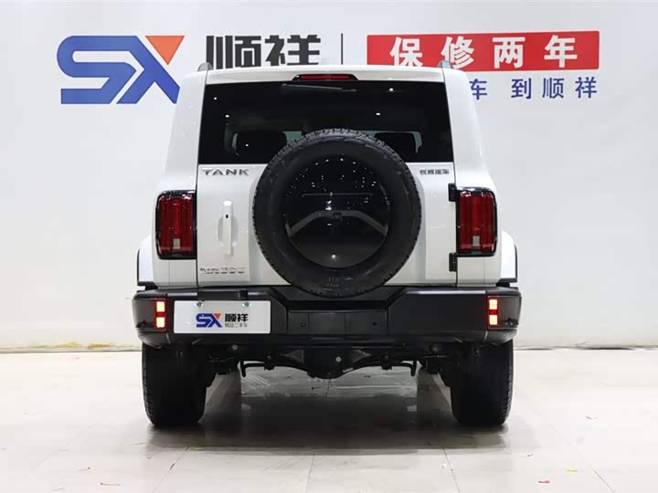 Фото 5 - Tank 300