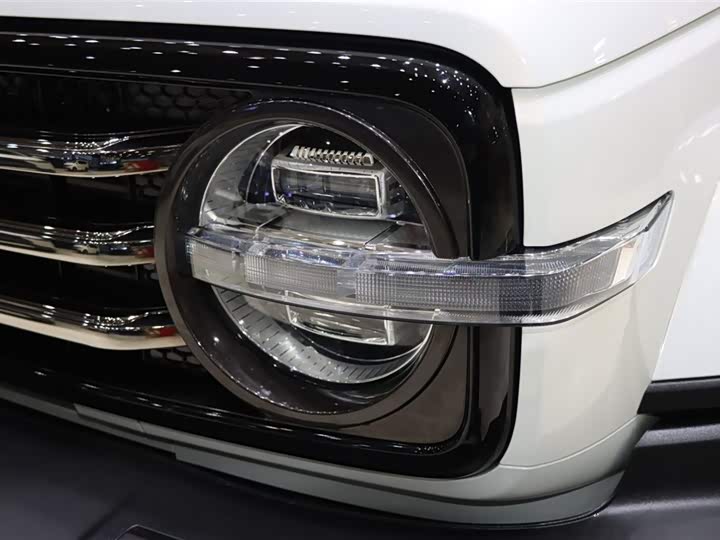 Фото 7 - Tank 300