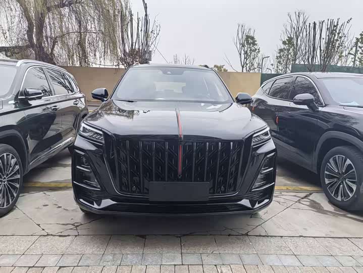 Фото 2 - Hongqi HS5