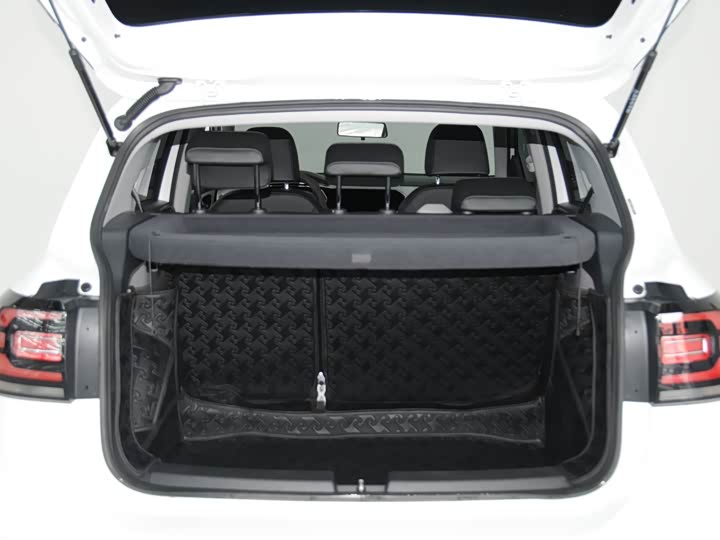 Фото 6 - Volkswagen Tacqua