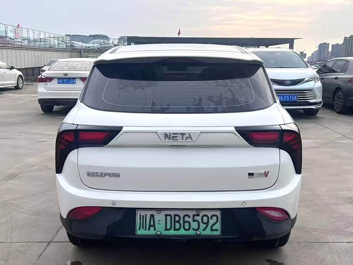 Фото 6 - Hozon V