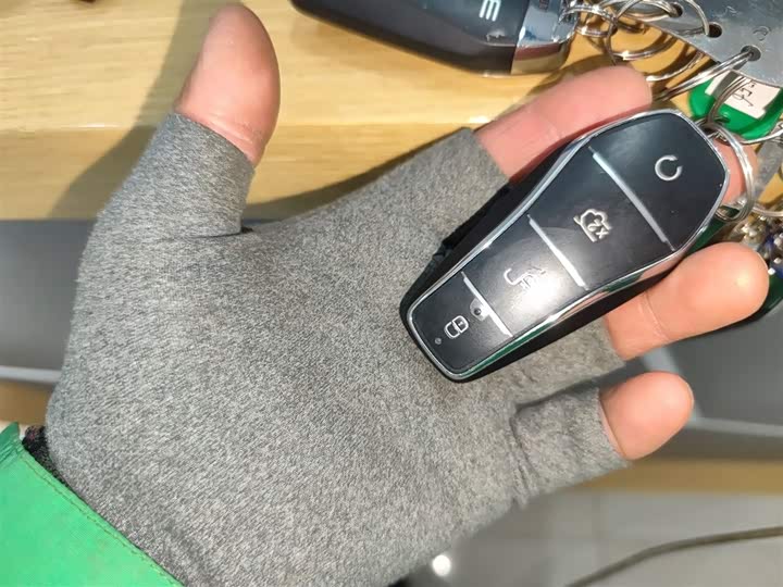 Фото 9 - BYD Han L