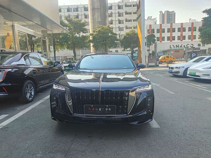 Фото 2 - Hongqi H9