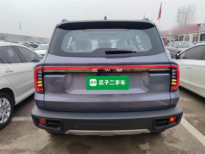 Фото 6 - Haval Dargo