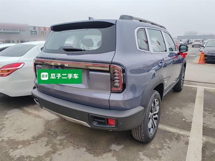 Фото 7 - Haval Dargo