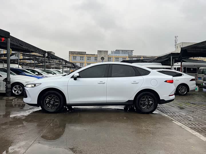 Фото 6 - BYD Qin Plus