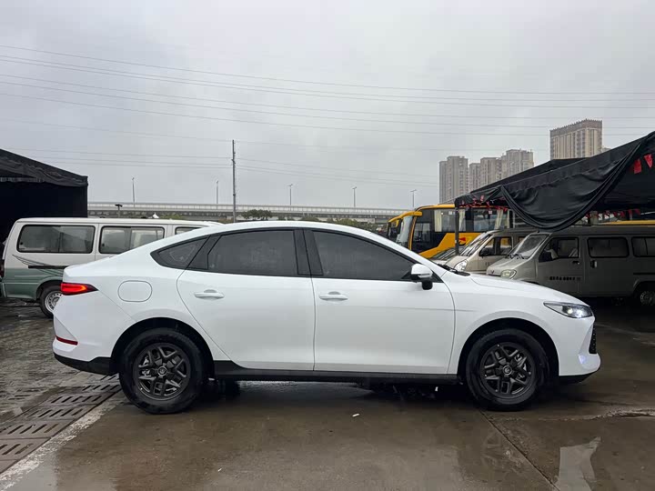 Фото 7 - BYD Qin Plus