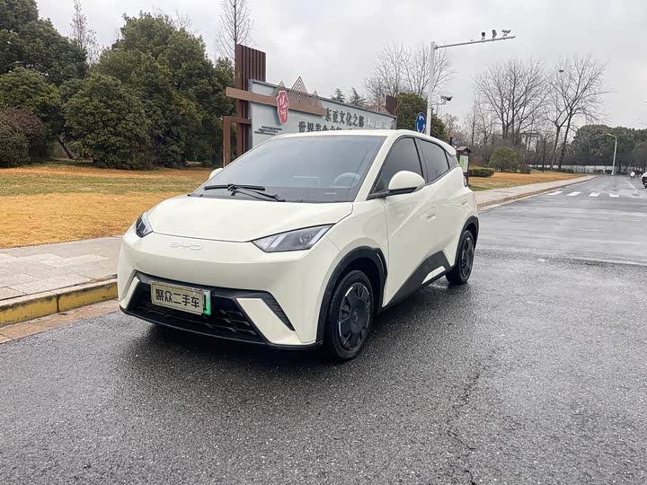 Фото 1 - BYD Seagull