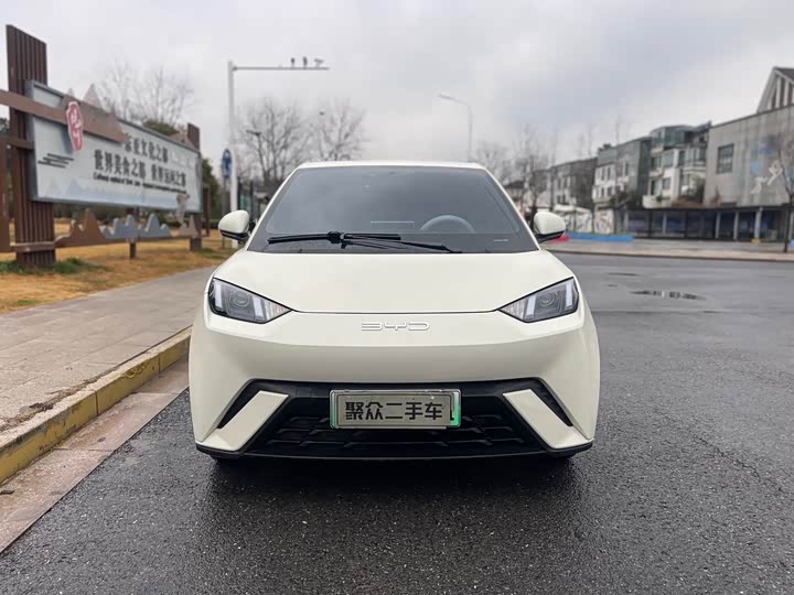 Фото 2 - BYD Seagull