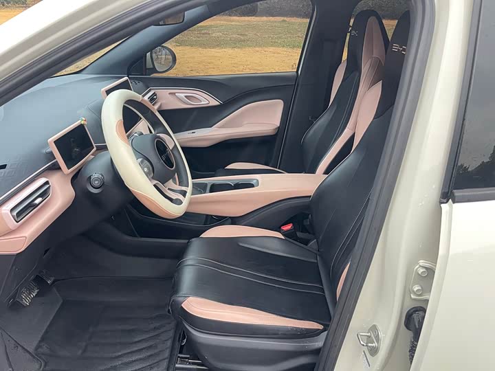 Фото 7 - BYD Seagull