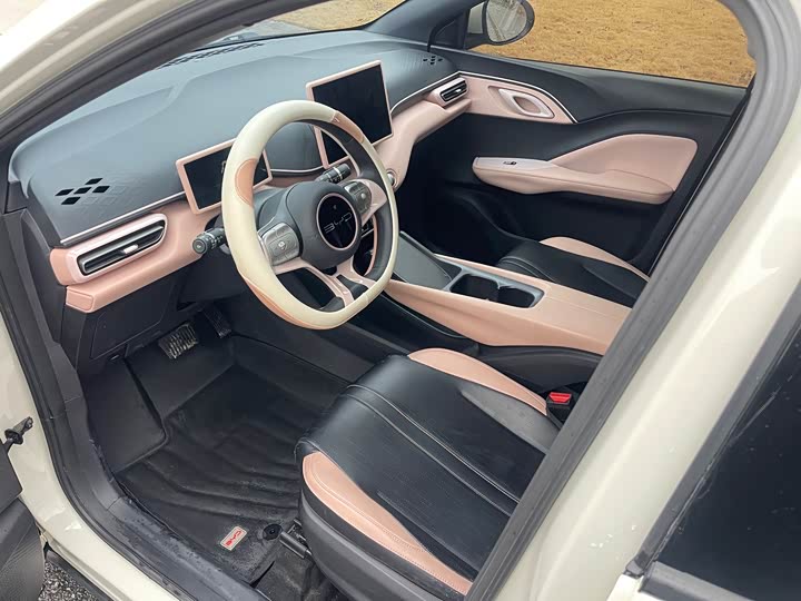 Фото 8 - BYD Seagull