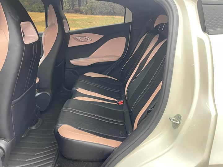 Фото 9 - BYD Seagull