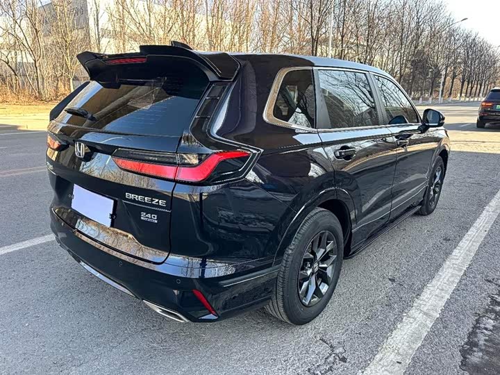 Фото 9 - Honda Breeze