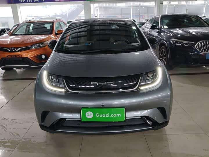 Фото 3 - BYD Dolphin