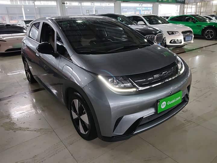 Фото 4 - BYD Dolphin