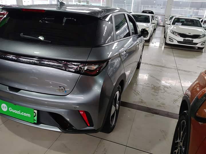 Фото 8 - BYD Dolphin