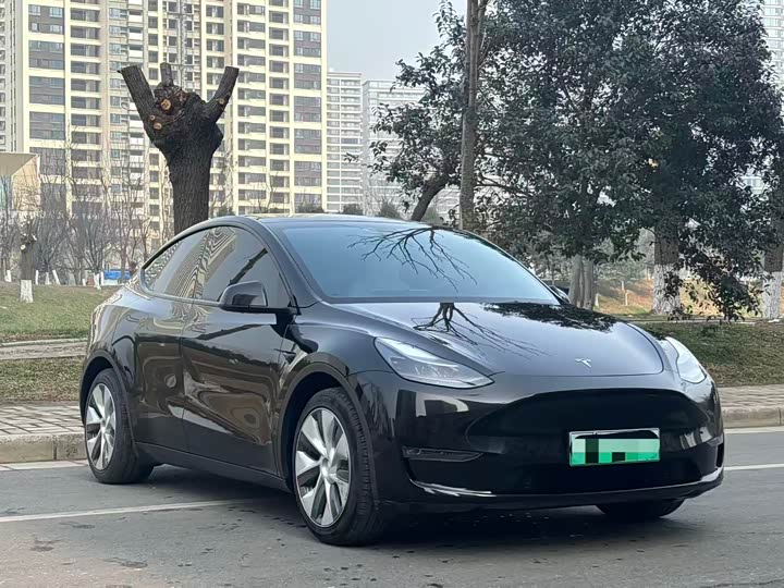 Фото 3 - Tesla Model Y