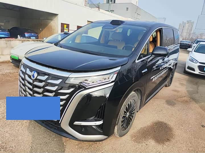 Фото 1 - Denza D9