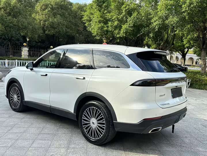 Фото 5 - Chery Tiggo 8L