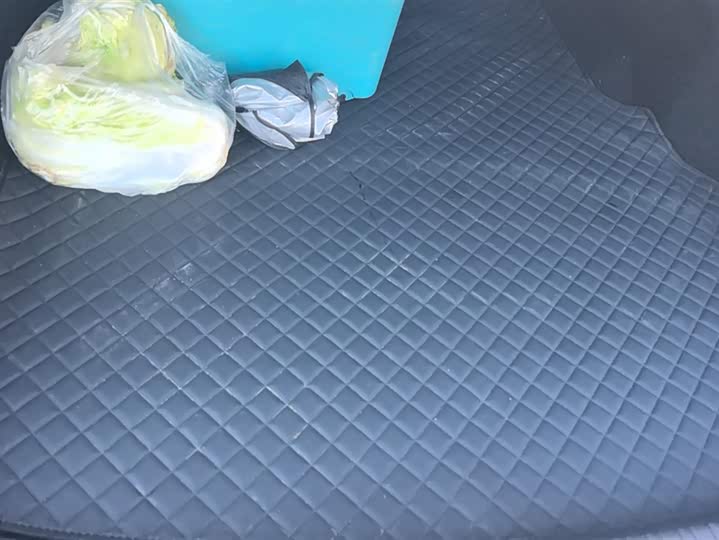 Фото 4 - BYD Qin L