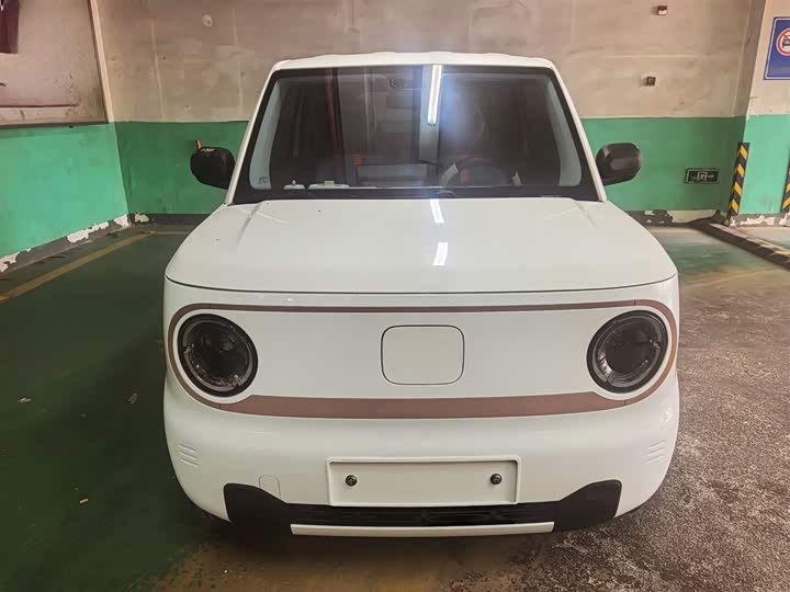 Фото 2 - Geely Galaxy Panda Mini