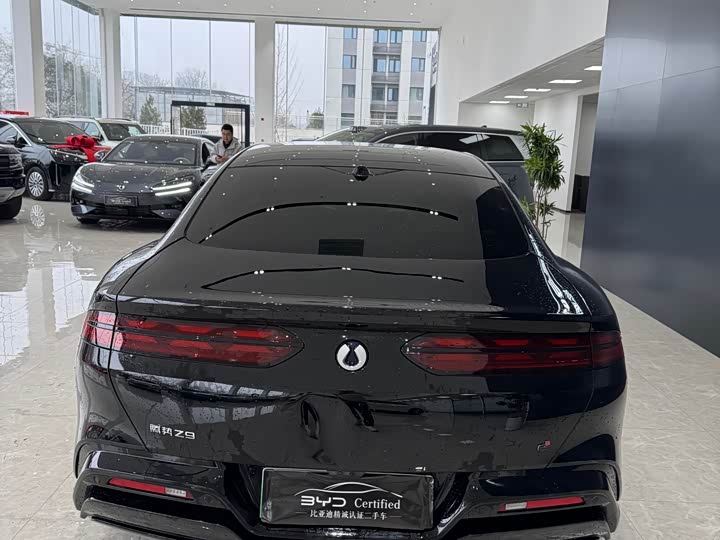 Фото 9 - Denza Z9