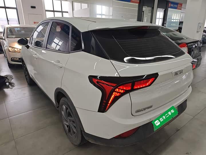 Фото 5 - Hozon V