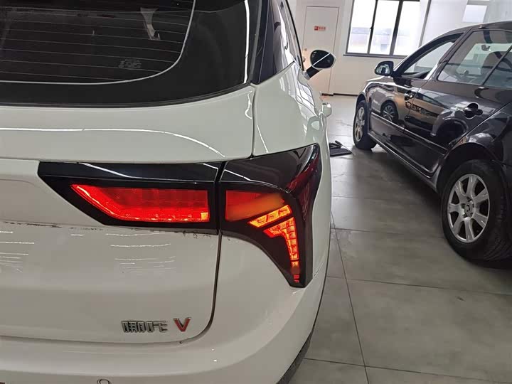 Фото 8 - Hozon V