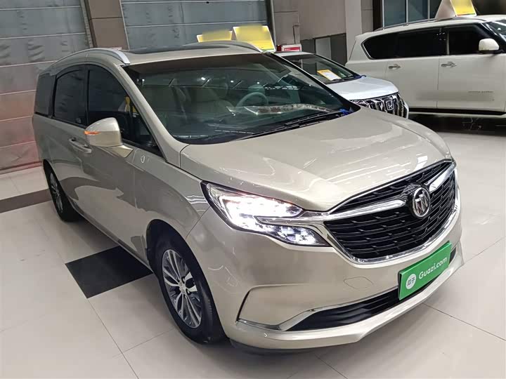 Фото 4 - Buick GL8 ES