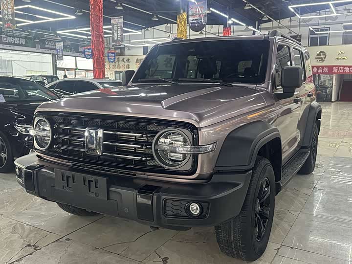 Фото 1 - Tank 300