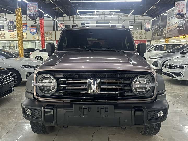 Фото 2 - Tank 300