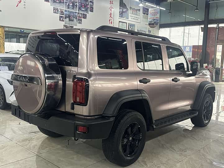 Фото 4 - Tank 300