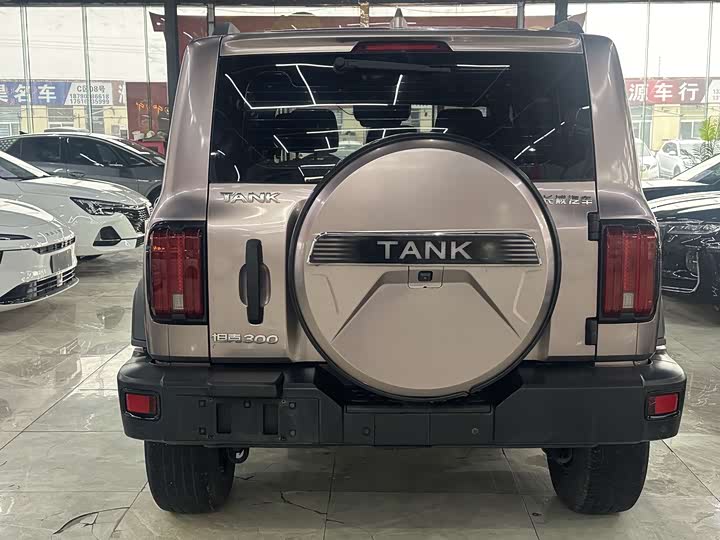 Фото 5 - Tank 300