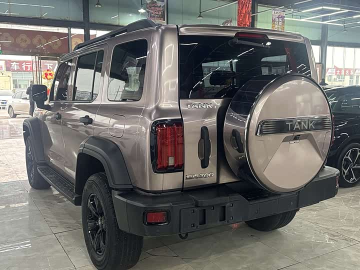 Фото 6 - Tank 300